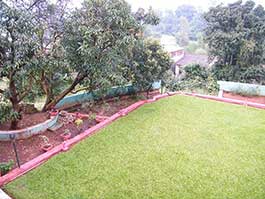 Vanashree Resort Amba