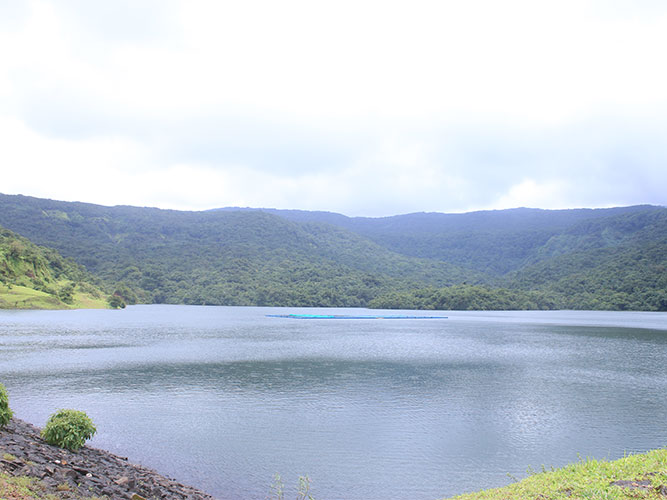 Manoli Dam,Amba